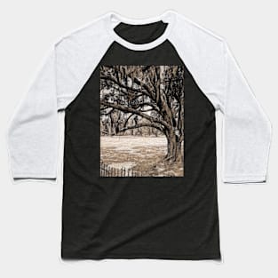 Trees On the Grounds of Jean Lafitte National Historical Park  Louisiana Baseball T-Shirt